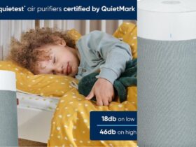 Blue Air 411i Max